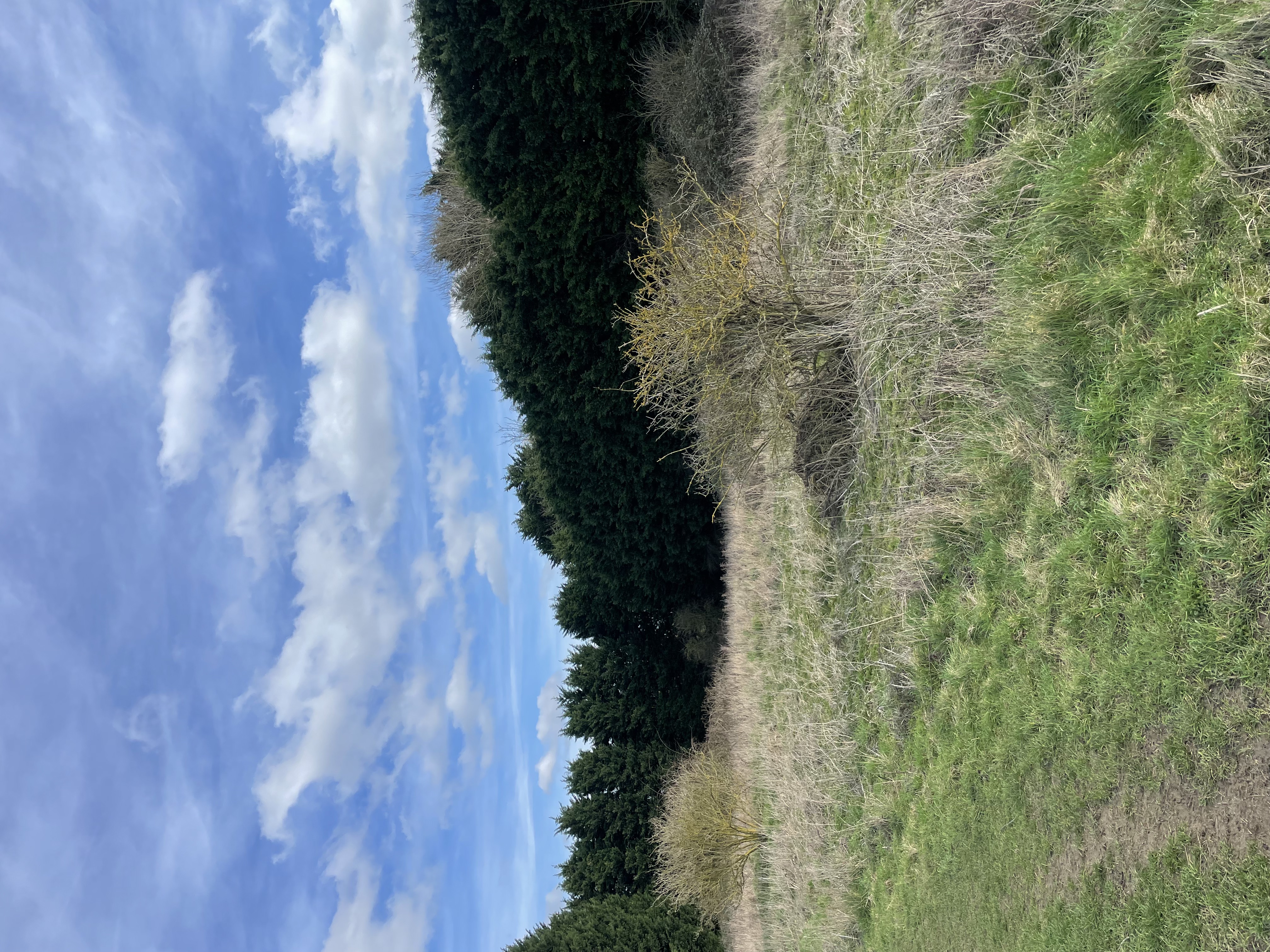 Site viewing for potential new five-unit residential development